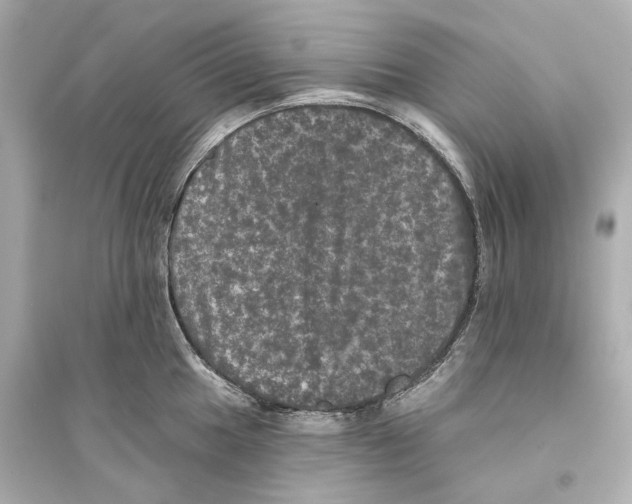 X0000093741049200711131057