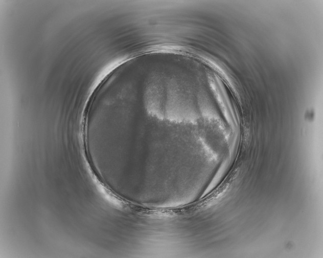 X0000093741050200711131057