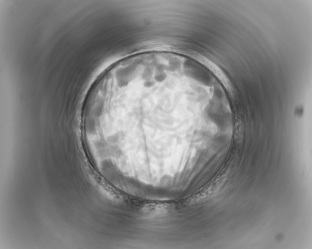 X0000093741051200711131057