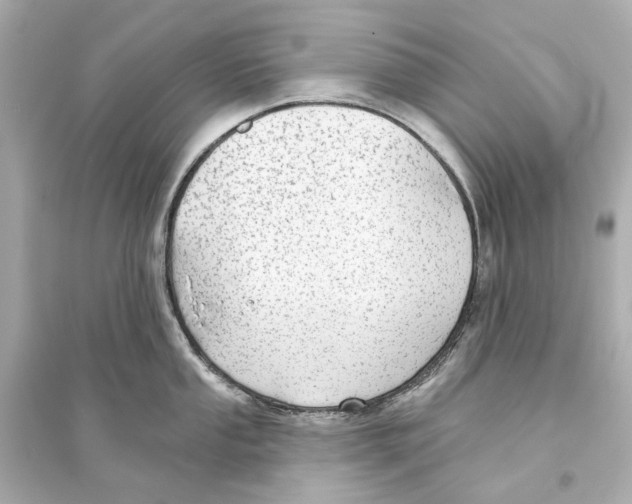 X0000093741053200711131057