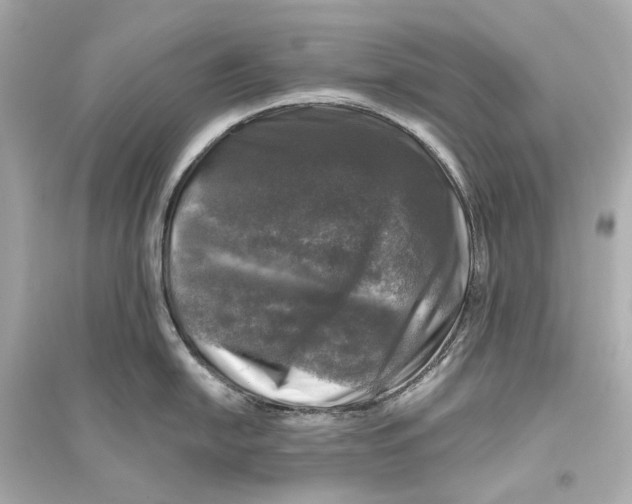 X0000093741054200711131057