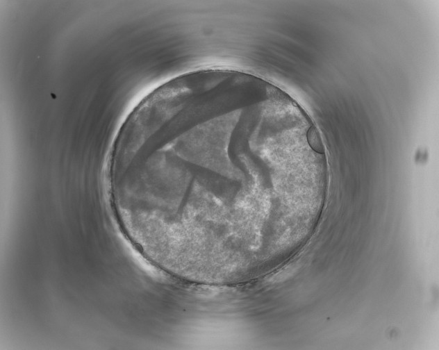 X0000093741056200711131057