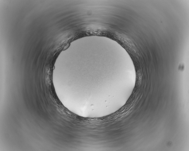 X0000093741060200711131056