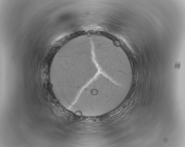 X0000093741063200711131056