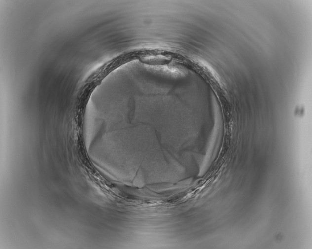 X0000093741064200711131056