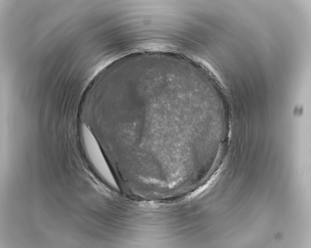 X0000093741065200711131056