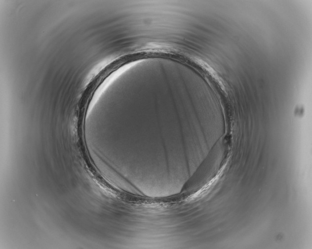 X0000093741066200711131056