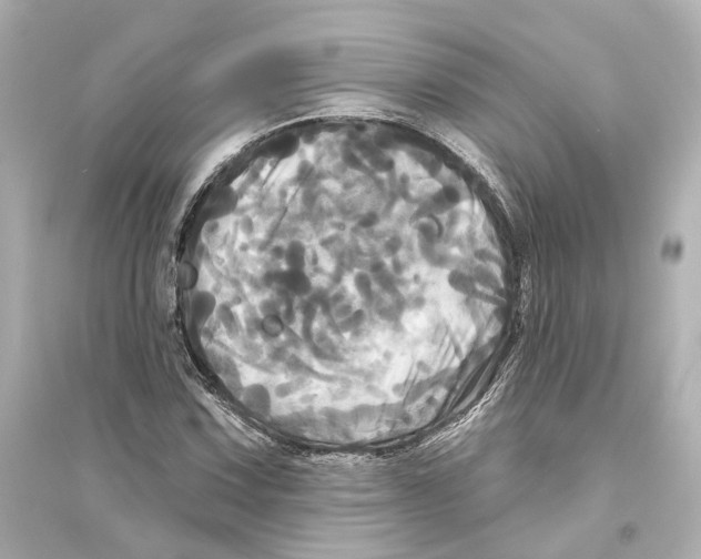 X0000093741067200711131056