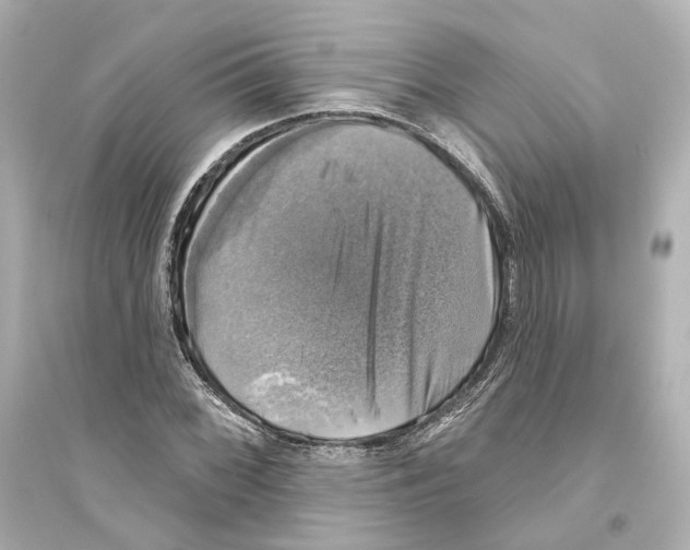 X0000093741068200711131056