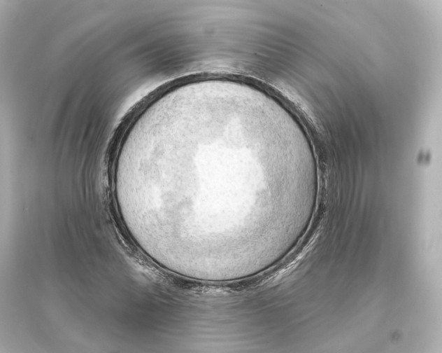 X0000093741070200711131056