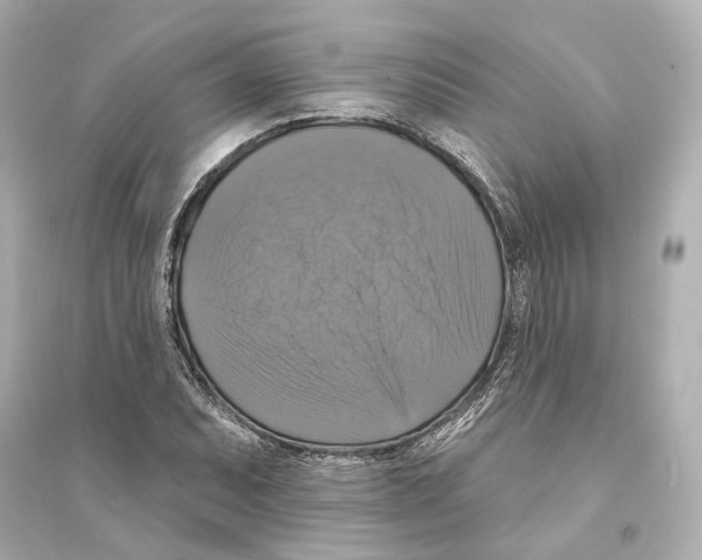 X0000093741071200711131056