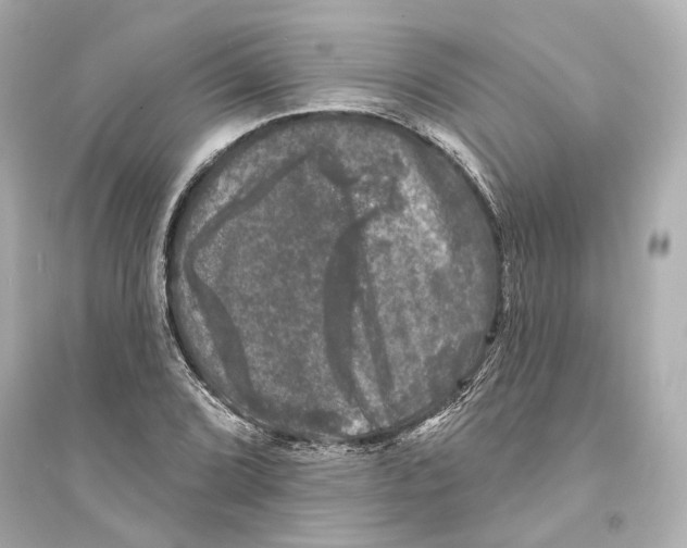 X0000093741072200711131056