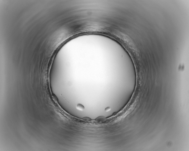 X0000093741073200711131056