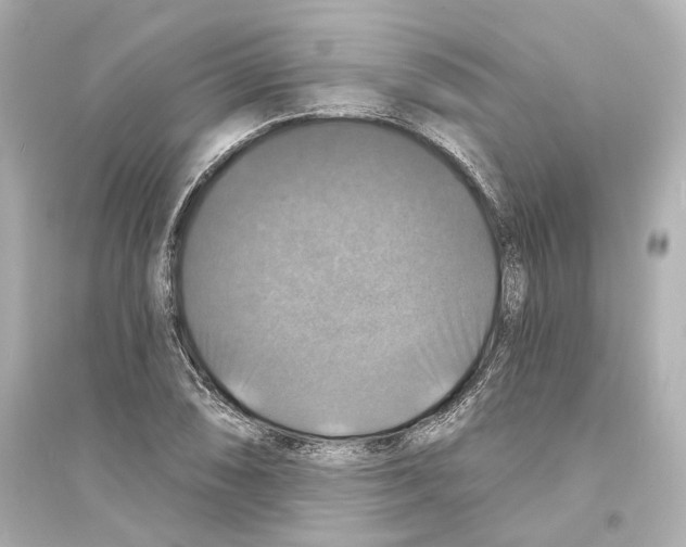X0000093741074200711131056