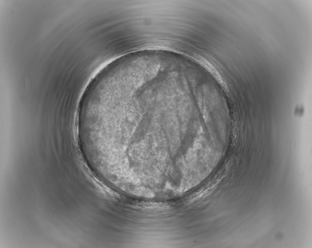 X0000093741076200711131056