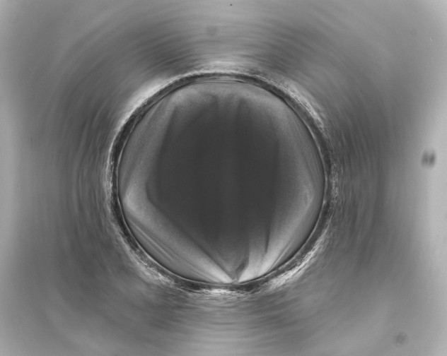 X0000093741077200711131056