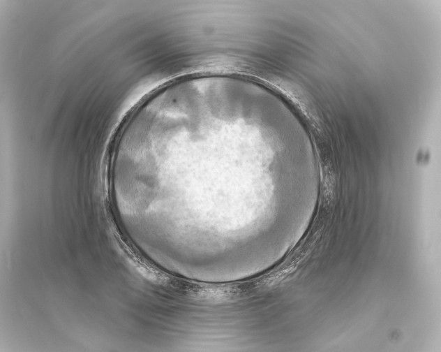 X0000093741078200711131056