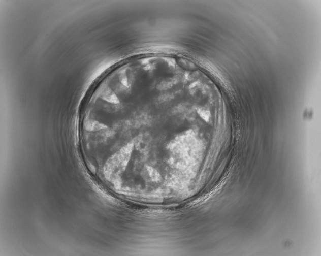 X0000093741079200711131056