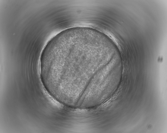X0000093741080200711131056