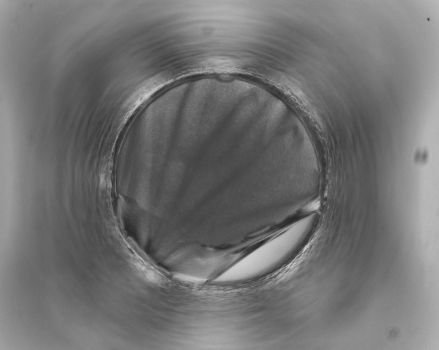 X0000093741081200711131056