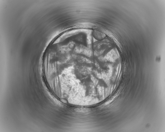 X0000093741083200711131056