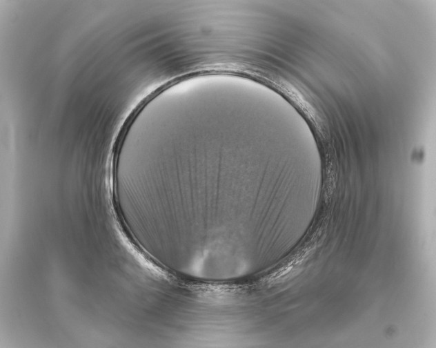 X0000093741084200711131056