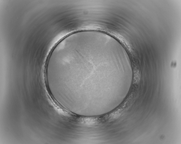 X0000093741086200711131056