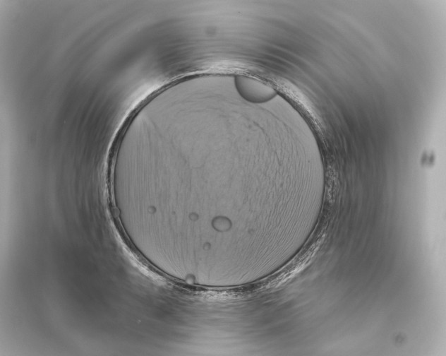 X0000093741087200711131056