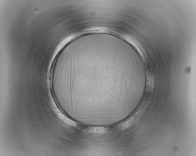 X0000093741090200711131056