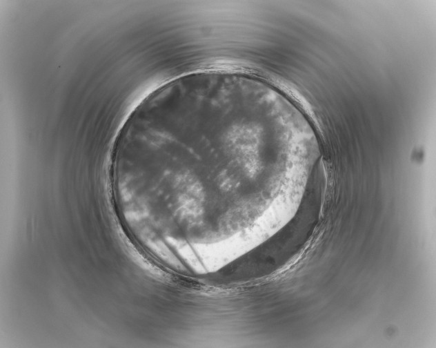 X0000093741091200711131056