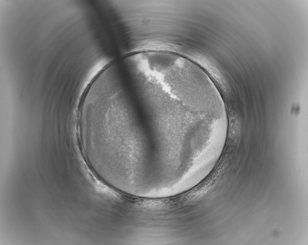 X0000093741094200711131056