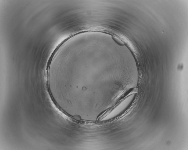 X0000093741095200711131056