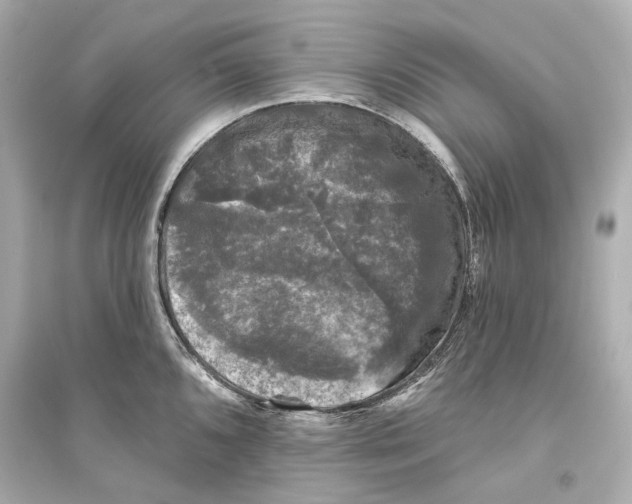 X0000093741096200711131056