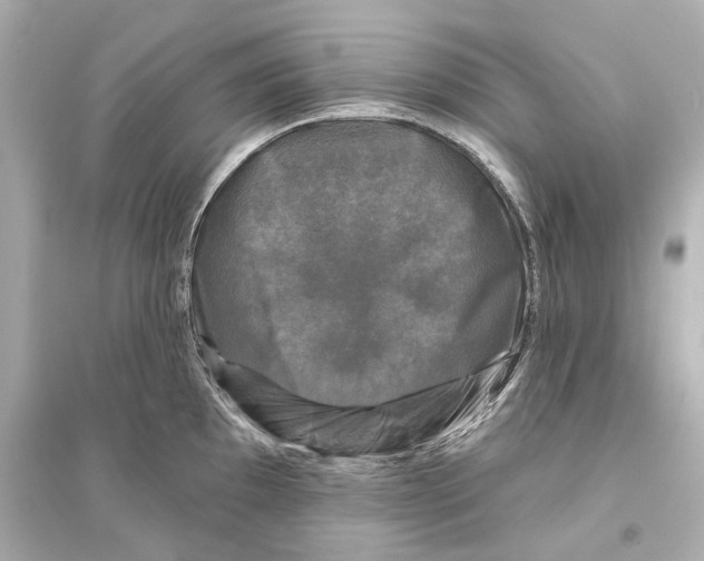 X0000093741097200711131056