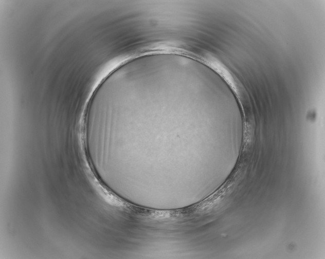 X0000093741098200711131056