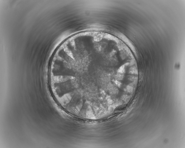 X0000093741099200711131056