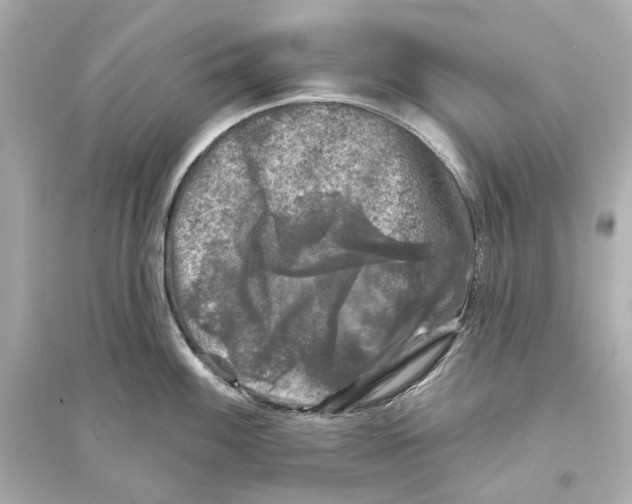 X0000093741100200711131056