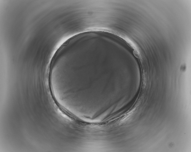 X0000093741102200711131055