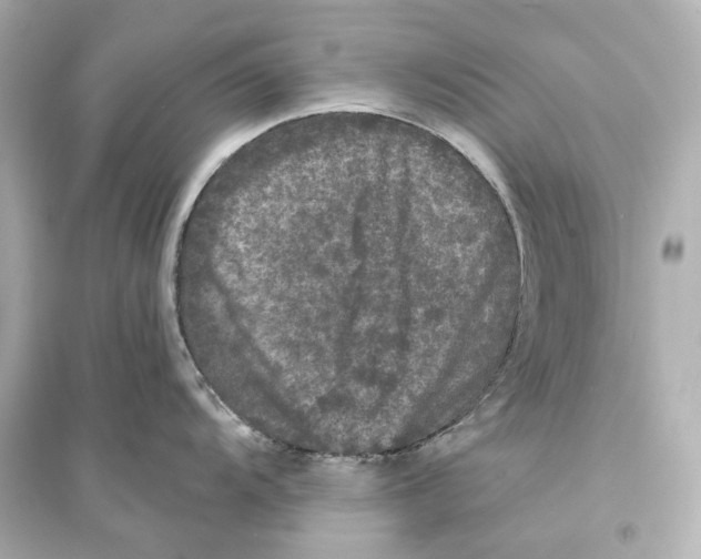 X0000093741104200711131055