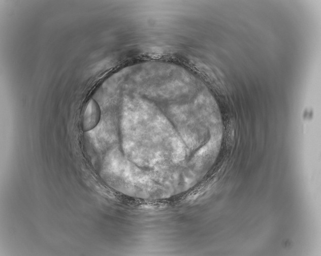 X0000093741105200711131055