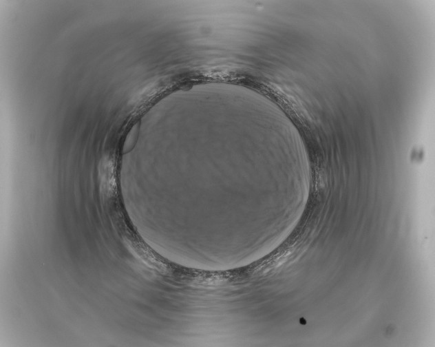 X0000093741106200711131055