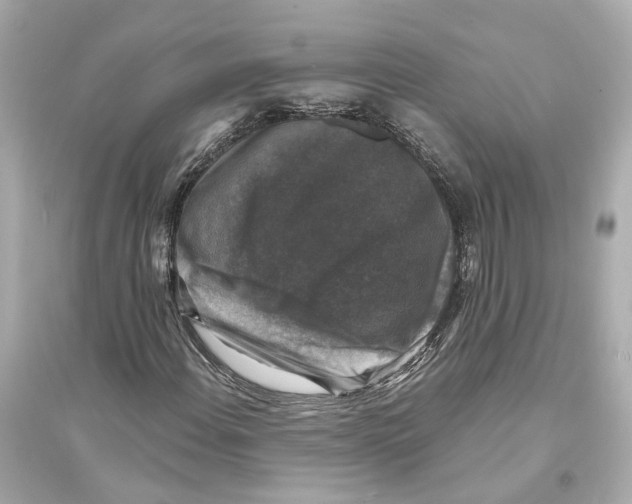 X0000093741108200711131055