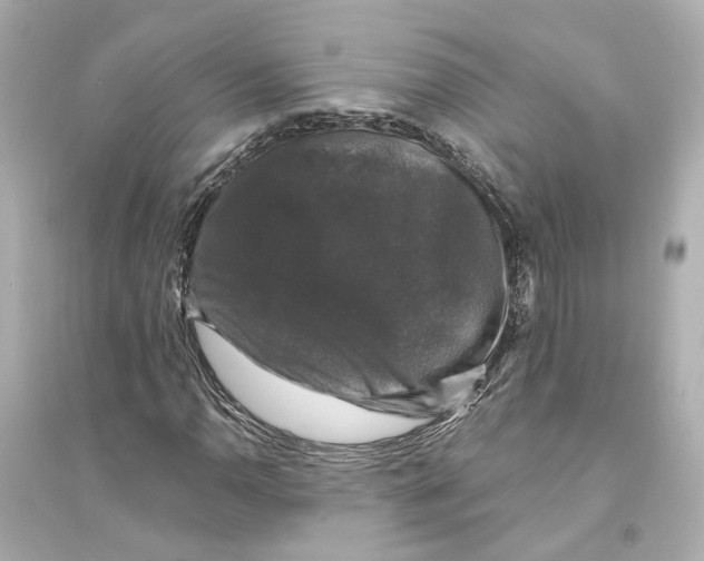 X0000093741110200711131055