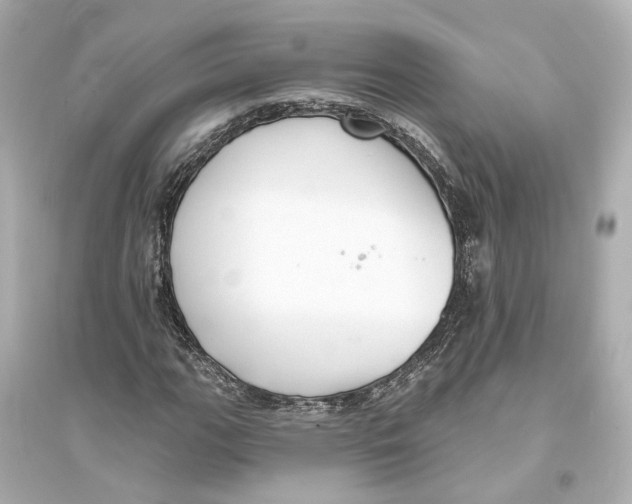 X0000093741111200711131055