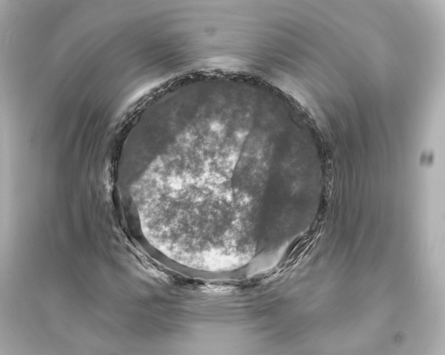 X0000093741112200711131055