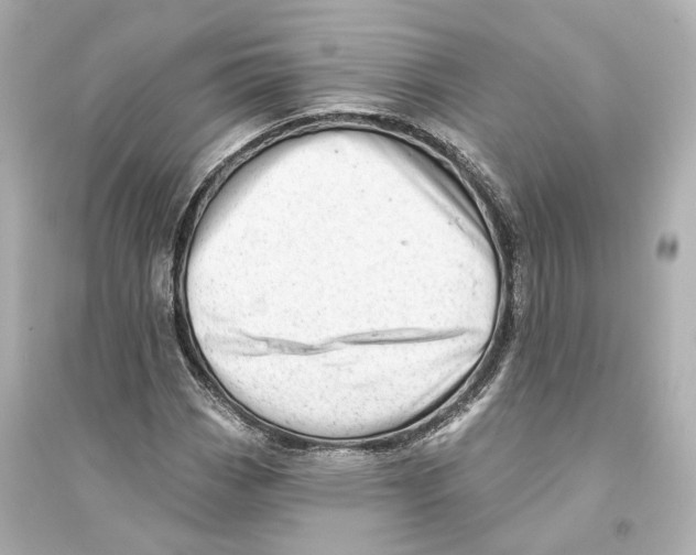X0000093741113200711131055