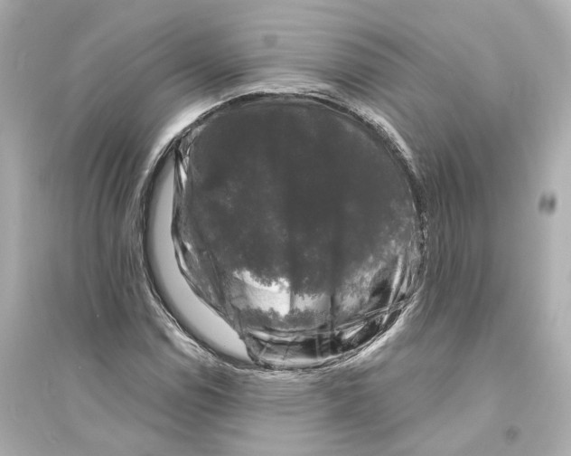 X0000093741114200711131055