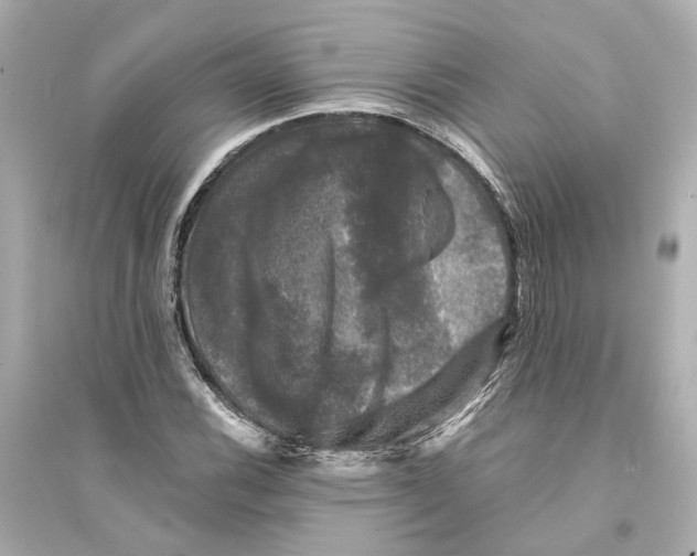 X0000093741116200711131055