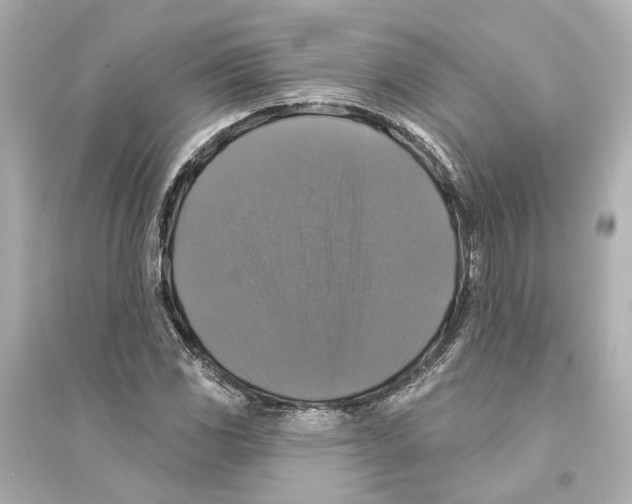 X0000093741117200711131055