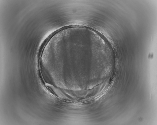 X0000093741120200711131055